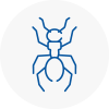 Ant Removals In Kidlington