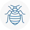 Bed Bug Extermination In Kidlington