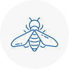 Bee Nest Removal Kidlington