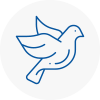 Bird Prevention Kidlington