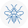 Kidlington Hornet Nest Removals