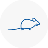 Mice Exterminators In Kidlington