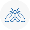 Moth Control Specialists In Kidlington