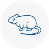 Rat Control Kidlington