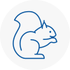 Kidlington Rodent Removals